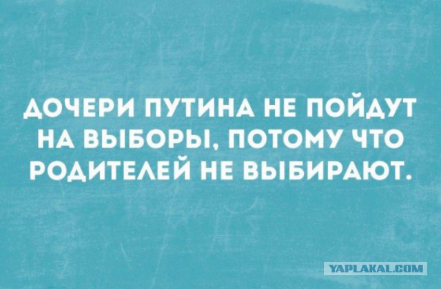 Патриарх Кирилл будет участвовать в выборах президента