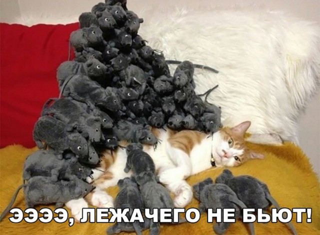 Нестандартный юмор