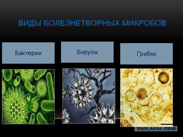 Агент ЦРУ перед смертью признался в убийстве Боба Марли, раскрыв детали операции