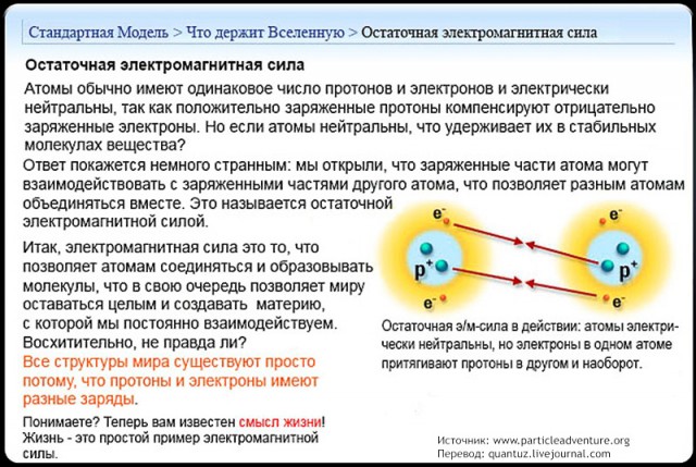 Физика: Стандартная Модель