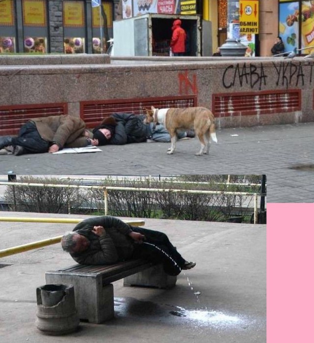 Социализм, хотим? ч.2