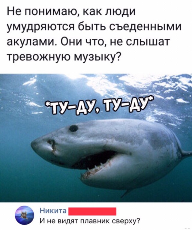 Анекдоты, истории и картинки с надписями