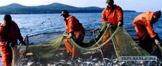За нарушения правил рыбалки можно получить уголовную статью