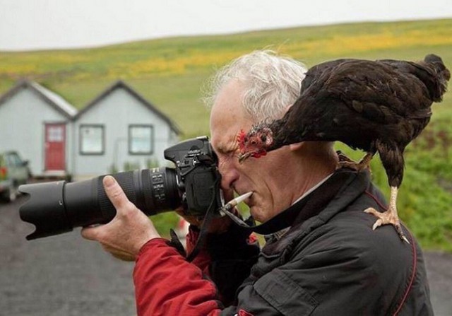 Просто 45 фоток