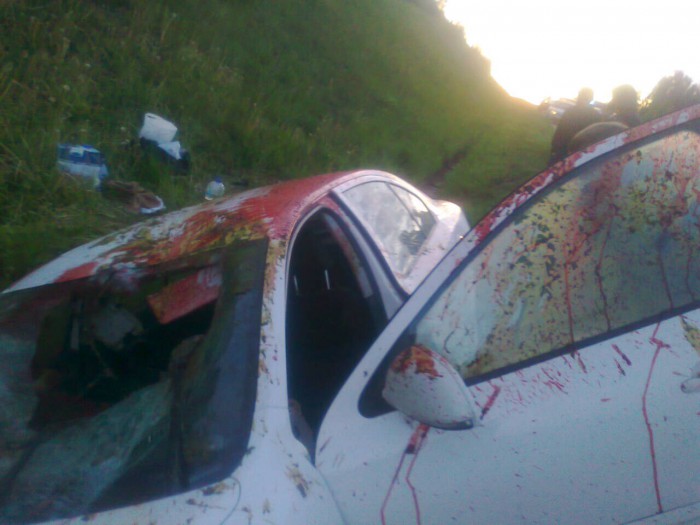 Встреча с лосем