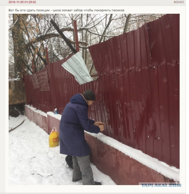 И опять про необходимую оборону...