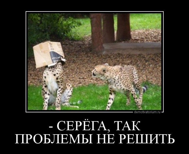 Немного картинок для настроения
