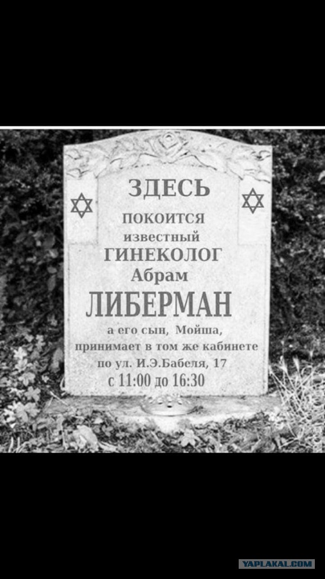 Свинегрет: картинки, надписи и прочее на 20.03 или №17