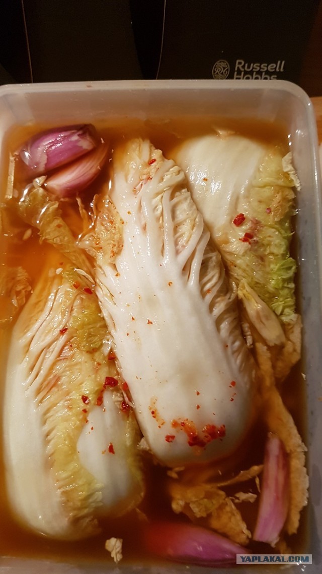 Суп с кимчи.