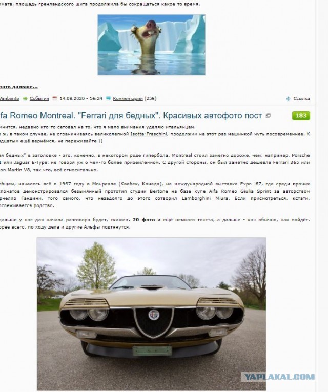 Alfa Romeo Montreal. "Ferrari для бедных". Красивых автофото пост