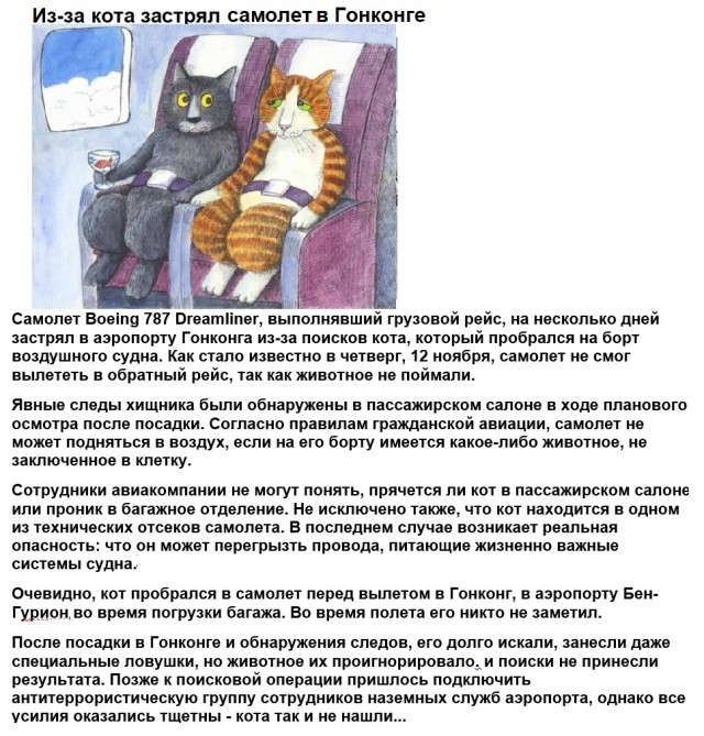 Картинки с надписями фразы  и анекдоты 16.11.20