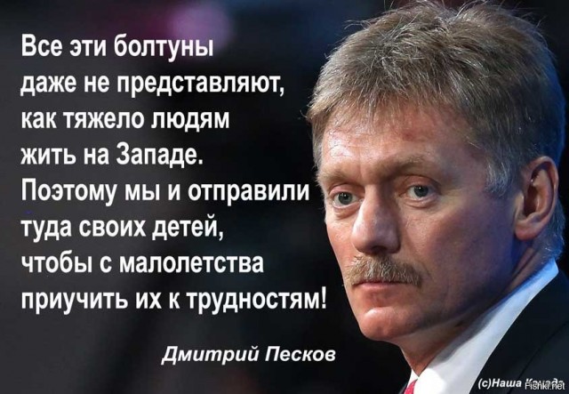 Адекватный судья