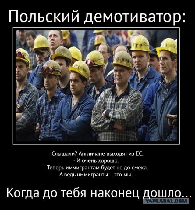Решил поиграть в крокодила данди