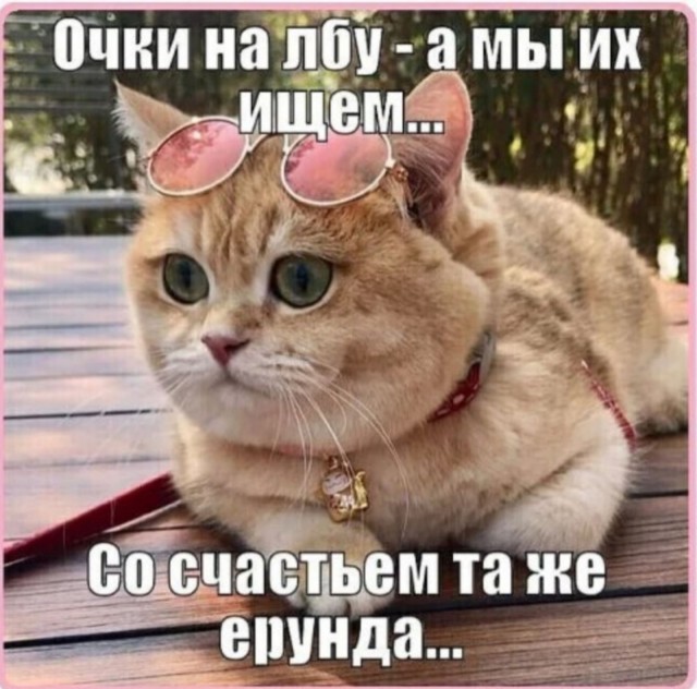 Картинки и мемы для настроения 23.02.21