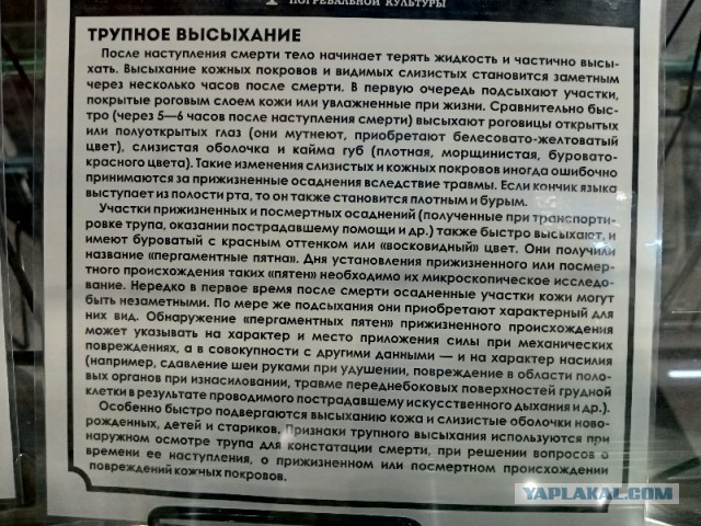 Что происходит с телом после смерти