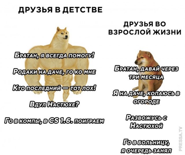 Картинки и мемы для настроения