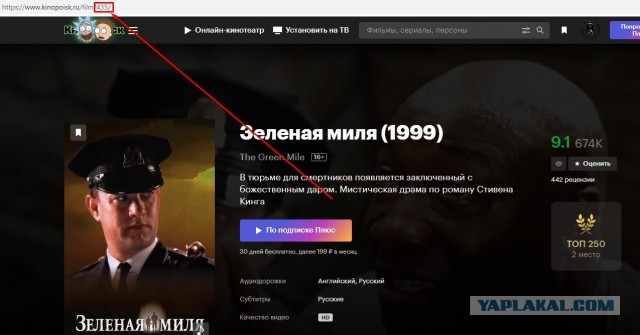 Смотрим фильмы из Кинопоиска бесплатно
