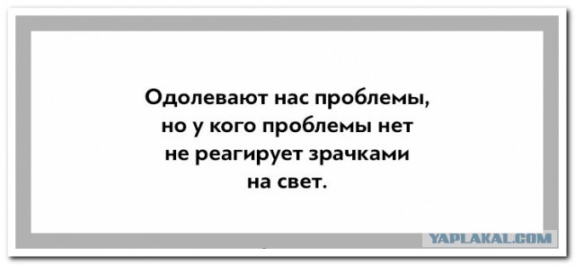 У осени холодные глаза...