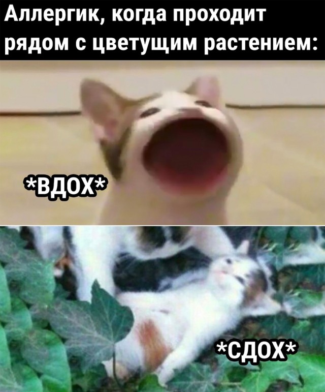 Так себе картинки 14.06.22