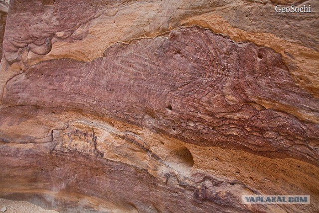 Синайские приключения. Шарм-эш-Шейх и окресности