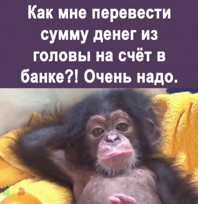 Картинки и мемы для настроения - 133