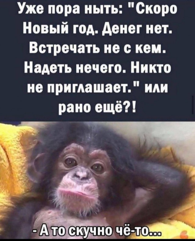 Победная поступь идиотизма по планете – том 4