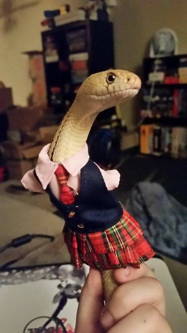 И так бывает