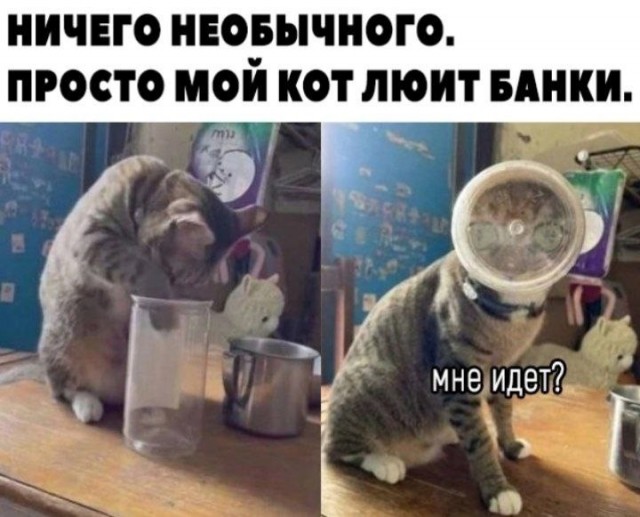 Всего понемногу. От 25.03.
