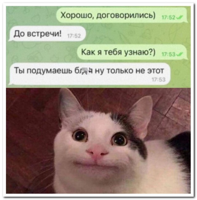 Забавные комментарии из социальных сетей (11.09.23)