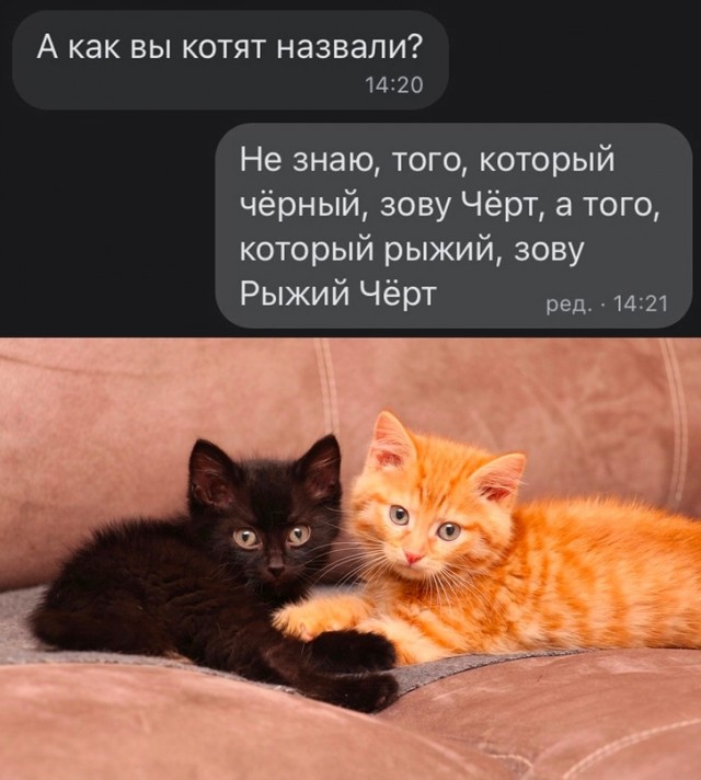Так себе картинки 28.10.23
