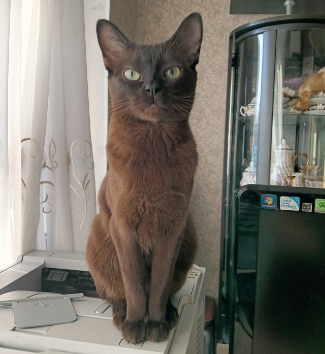 Ну вот и я