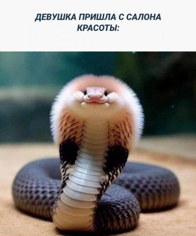 Всего понемногу. От 17.04.24.