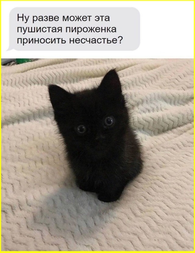 ТРРРидцать тРРРи от 23 апРРРеля