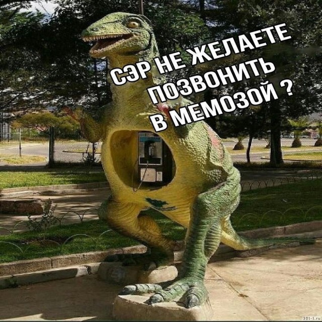 Так себе картинки 04.06.24