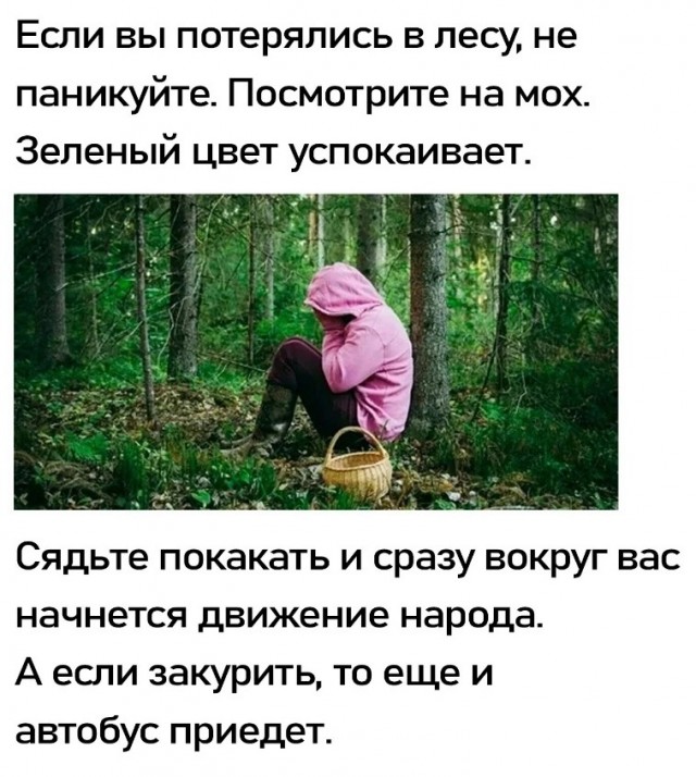Осенние бояны