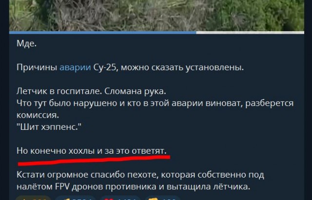 Френдлифаер