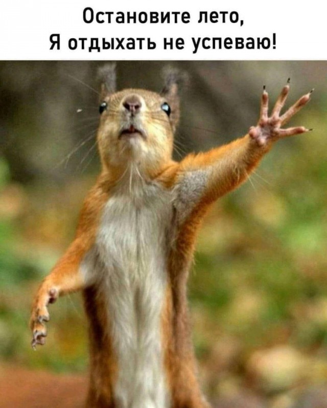 Прикольные и просто красивые картинки 01.08.2025