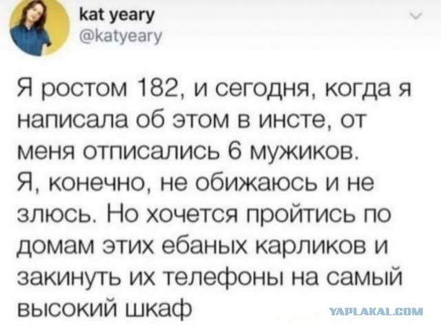 Картинки для деградации 44 (разной степени свежести)