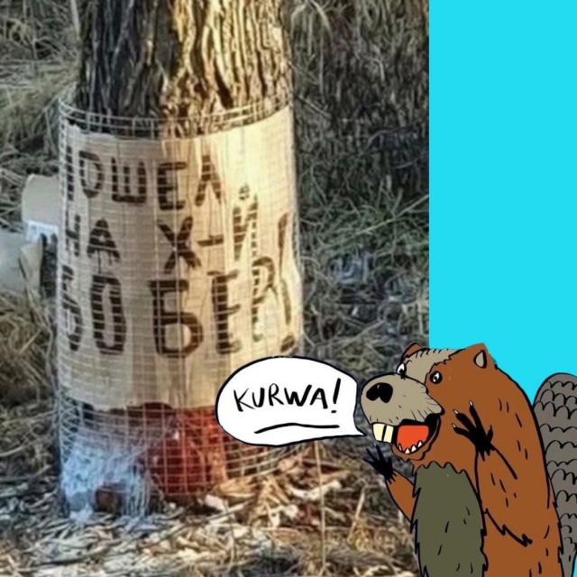 Так себе картинки 13.10.25