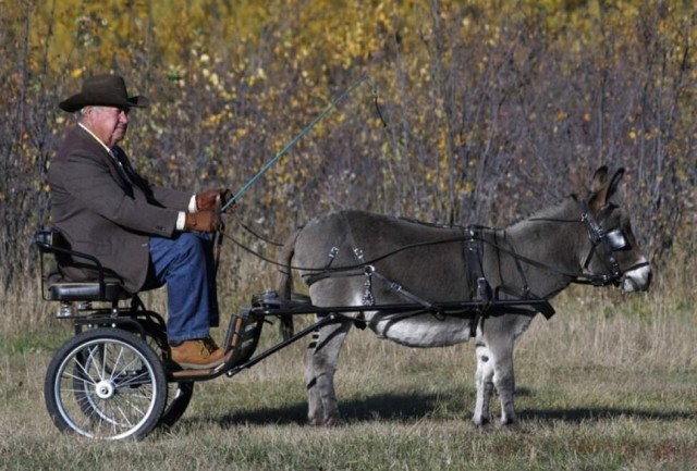 Счастливое детство