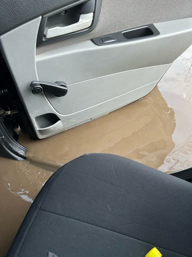 Лужа и водятлы.