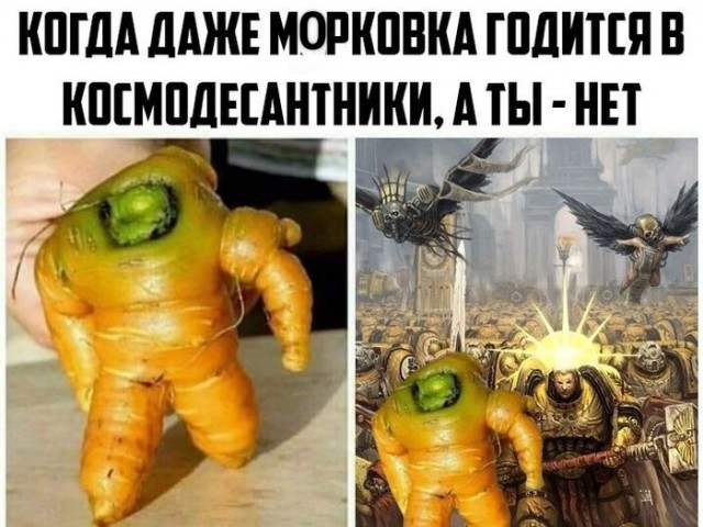 Картинки для деградации 224 (разной степени свежести)