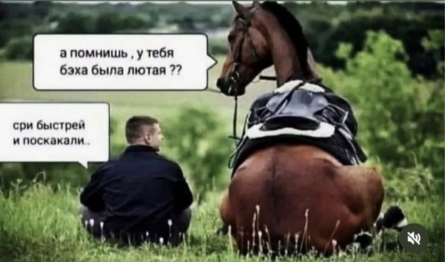 Картинки для деградации 229 (разной степени свежести)