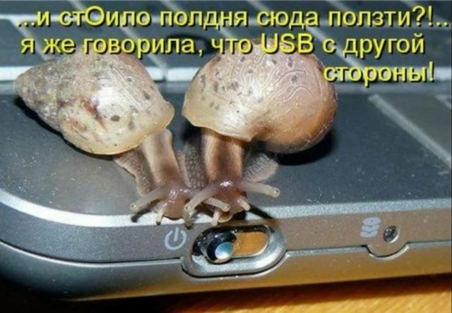 Картинки для деградации 232 (разной степени свежести)