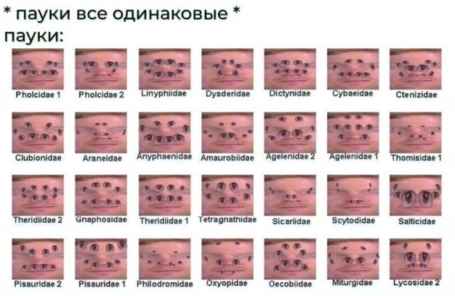 Картинки на 21.10.2026