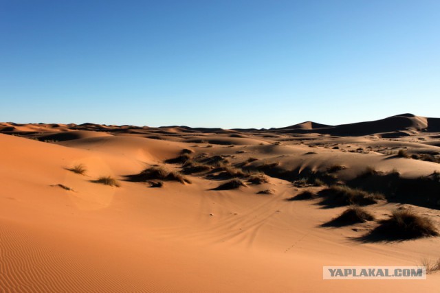 Новогодняя ночь в пустыне Сахара