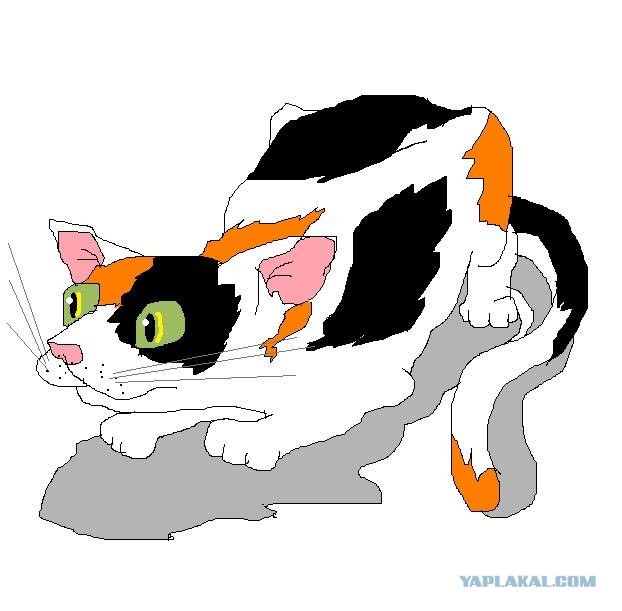 Моментальные портреты моих знакомых котов.