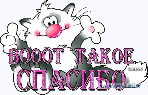 С международным вас женским днём.....