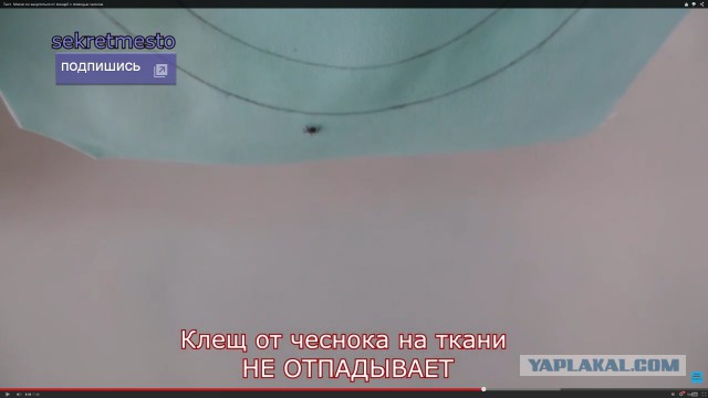 Реальный Тест, энцефалитный клещ против чеснока