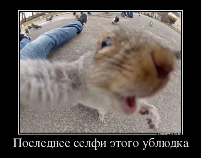 Веселые картинки